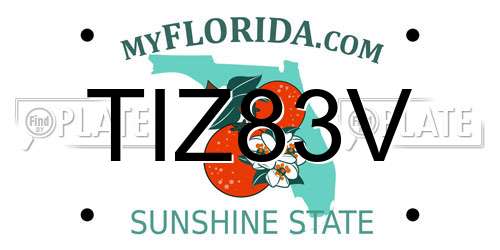 TIZ83V Florida License Plate