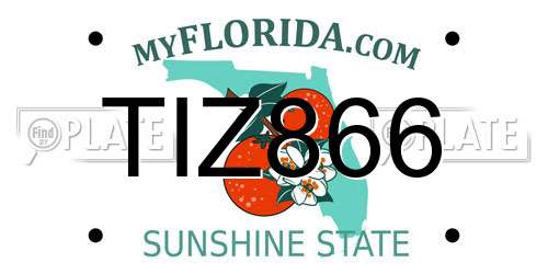 TIZ866 Florida License Plate