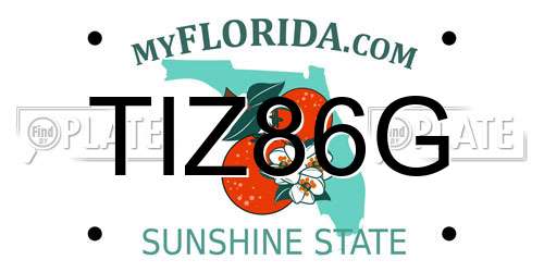 TIZ86G Florida License Plate