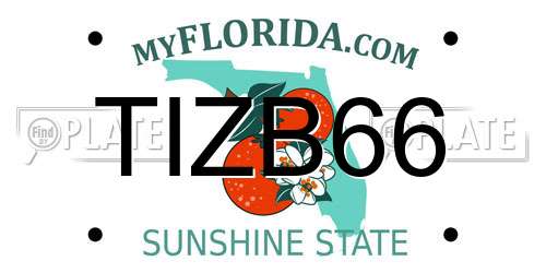 TIZB66 Florida License Plate