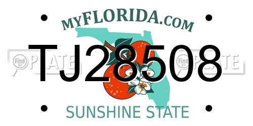TJ28508 Florida License Plate
