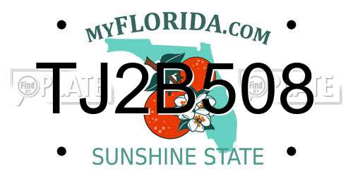 TJ2B508 Florida License Plate