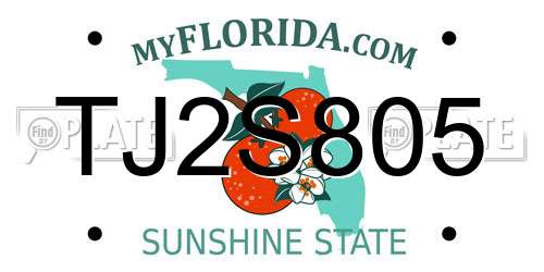 TJ2S805 Florida License Plate