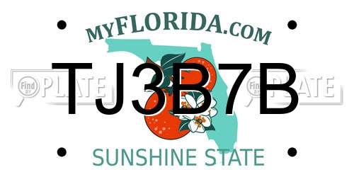 TJ3B7B Florida License Plate