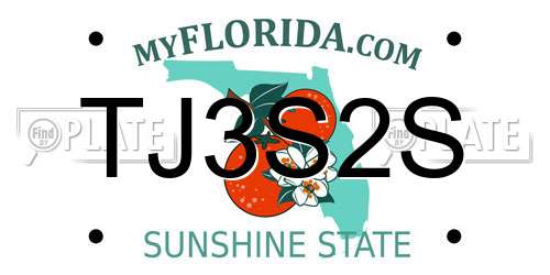 TJ3S2S Florida License Plate