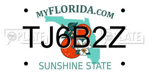 TJ6B2Z Florida License Plate