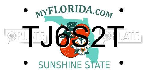 TJ6S2T Florida License Plate