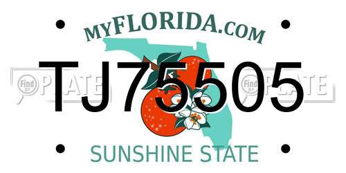 TJ75505 Florida License Plate
