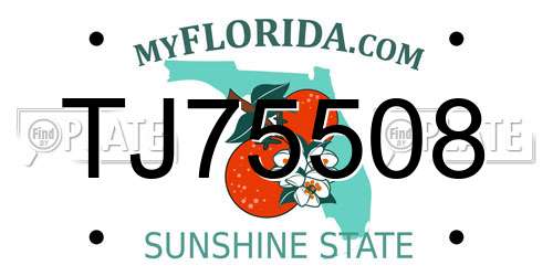 TJ75508 Florida License Plate
