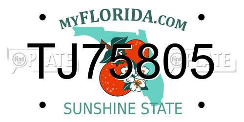 TJ75805 Florida License Plate