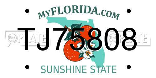 TJ75808 Florida License Plate
