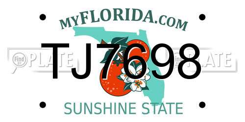 TJ7698 Florida License Plate