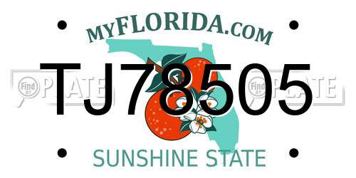 TJ78505 Florida License Plate