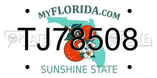 TJ78508 Florida License Plate