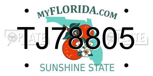 TJ78805 Florida License Plate