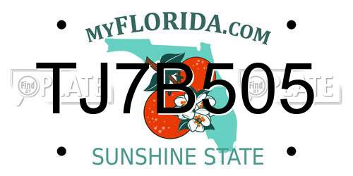 TJ7B505 Florida License Plate