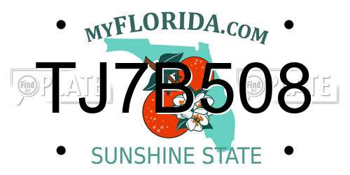 TJ7B508 Florida License Plate