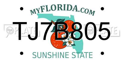 TJ7B805 Florida License Plate