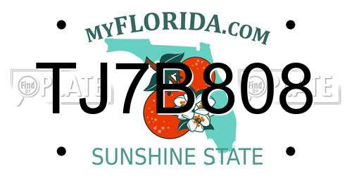 TJ7B808 Florida License Plate