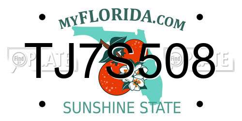 TJ7S508 Florida License Plate