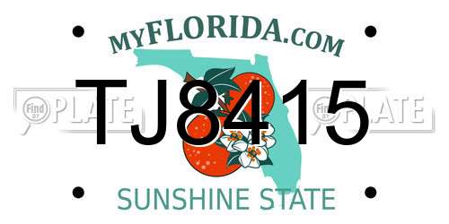 TJ8415 Florida License Plate