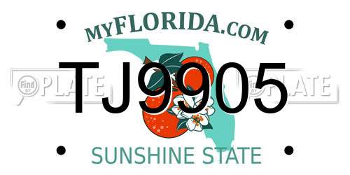 TJ9905 Florida License Plate