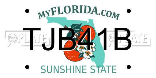 TJB41B Florida License Plate