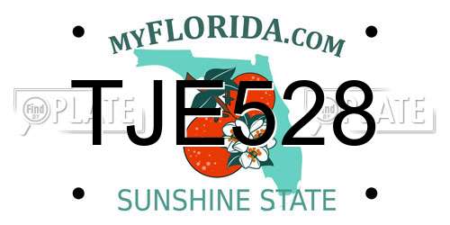 TJE528 Florida License Plate