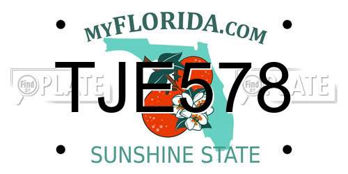TJE578 Florida License Plate