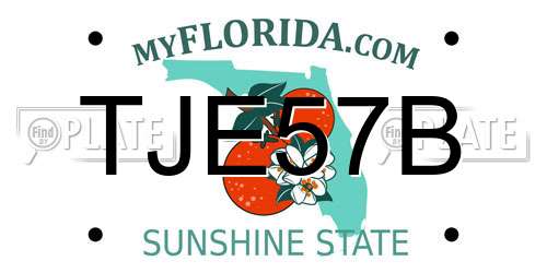 TJE57B Florida License Plate
