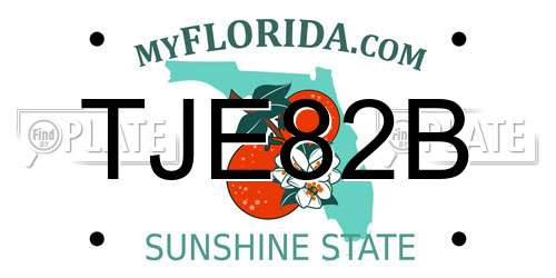 TJE82B Florida License Plate