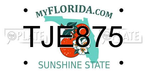 TJE875 Florida License Plate