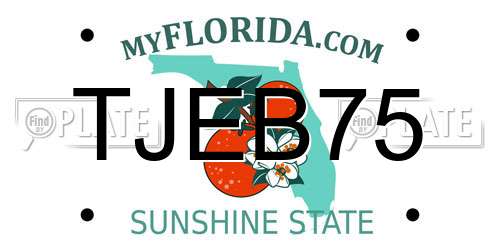 TJEB75 Florida License Plate