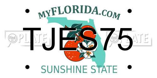 TJES75 Florida License Plate
