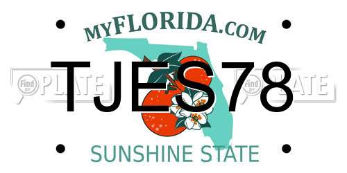 TJES78 Florida License Plate