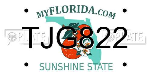TJG822 Florida License Plate