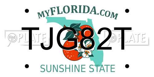TJG82T Florida License Plate