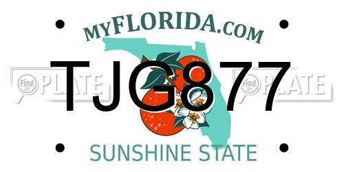 TJG877 Florida License Plate