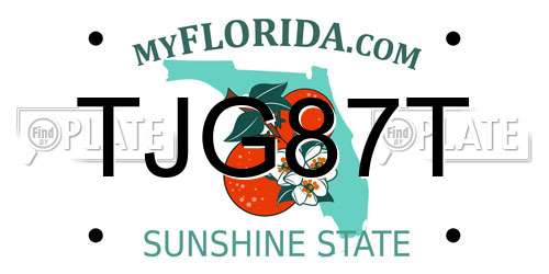 TJG87T Florida License Plate