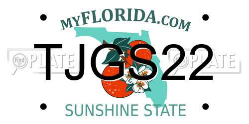 TJGS22 Florida License Plate
