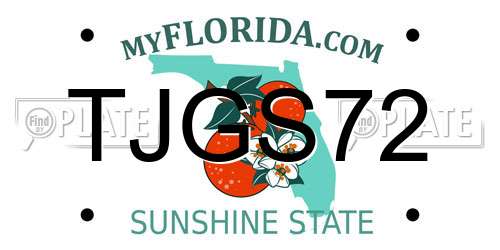 TJGS72 Florida License Plate