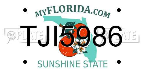 TJI5986 Florida License Plate