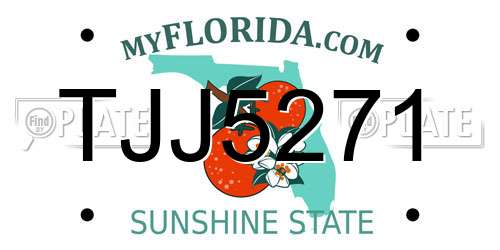 TJJ5271 Florida License Plate