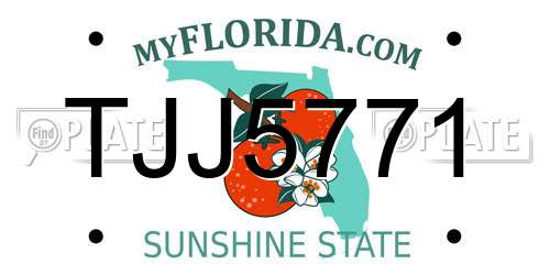 TJJ5771 Florida License Plate