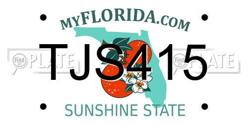 TJS415 Florida License Plate