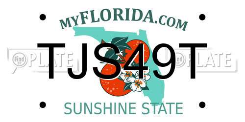 TJS49T Florida License Plate