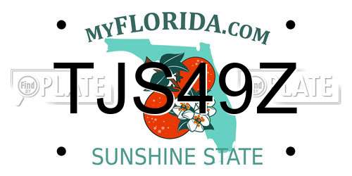 TJS49Z Florida License Plate
