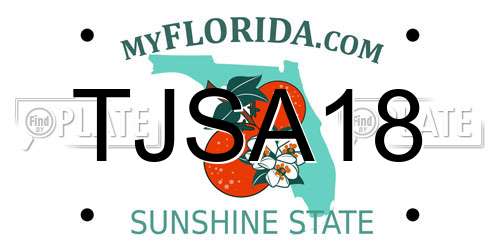 TJSA18 Florida License Plate