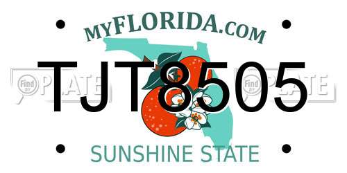 TJT8505 Florida License Plate