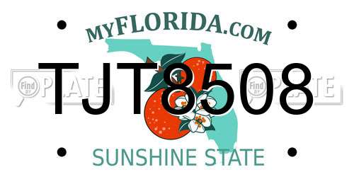 TJT8508 Florida License Plate